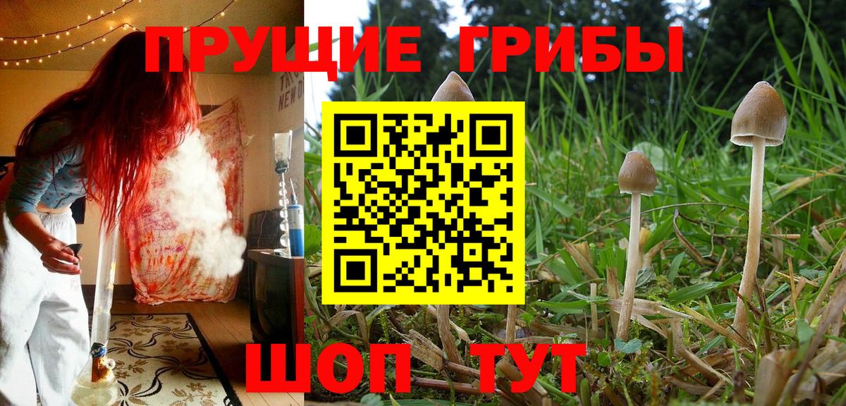 Галлюциногенные грибы GOLDEN TEACHER Кизилюрт