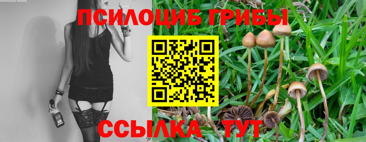 Галлюциногенные грибы Cubensis  купить наркотик  Галлюциногенные грибы Magic Shrooms  Кизилюрт  Вход с VPN 
